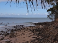 Noosa Beach