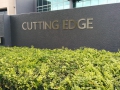 Cutting Edge - The Cyber Institute